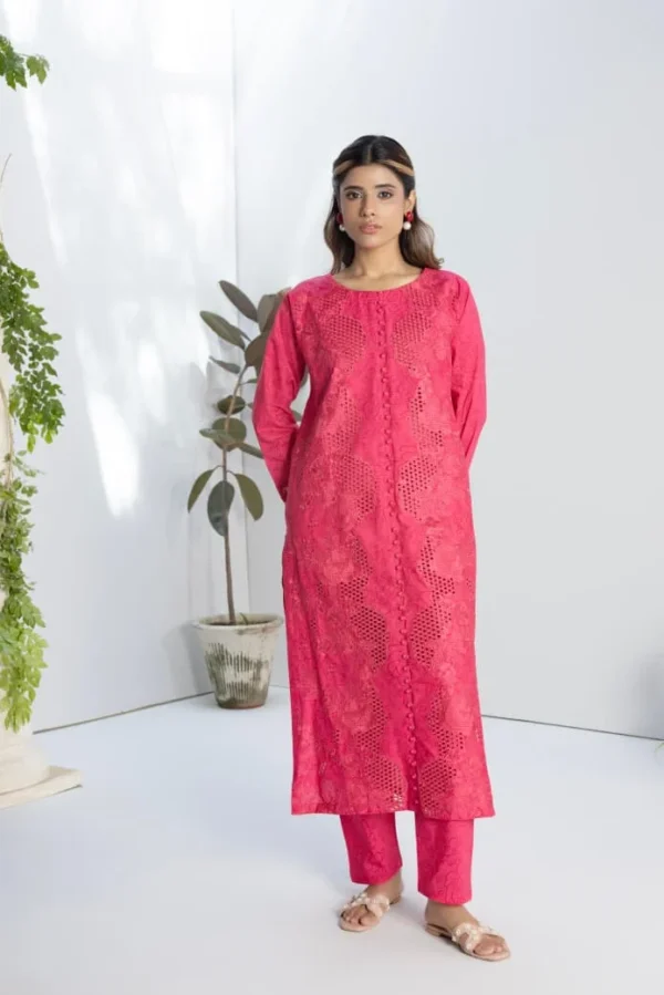 Noor Chikankari 3Pc - Image 4