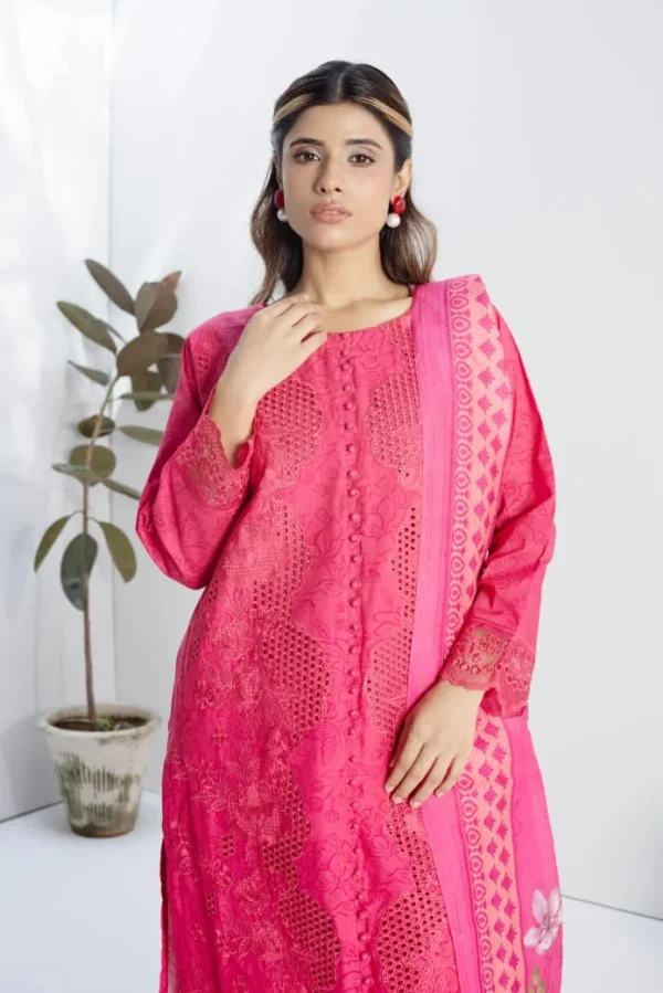 Noor Chikankari 3Pc - Image 2